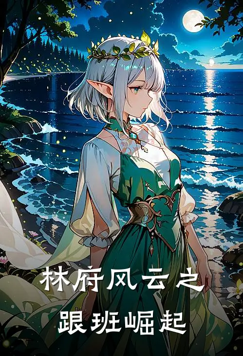 林府风云之跟班崛起